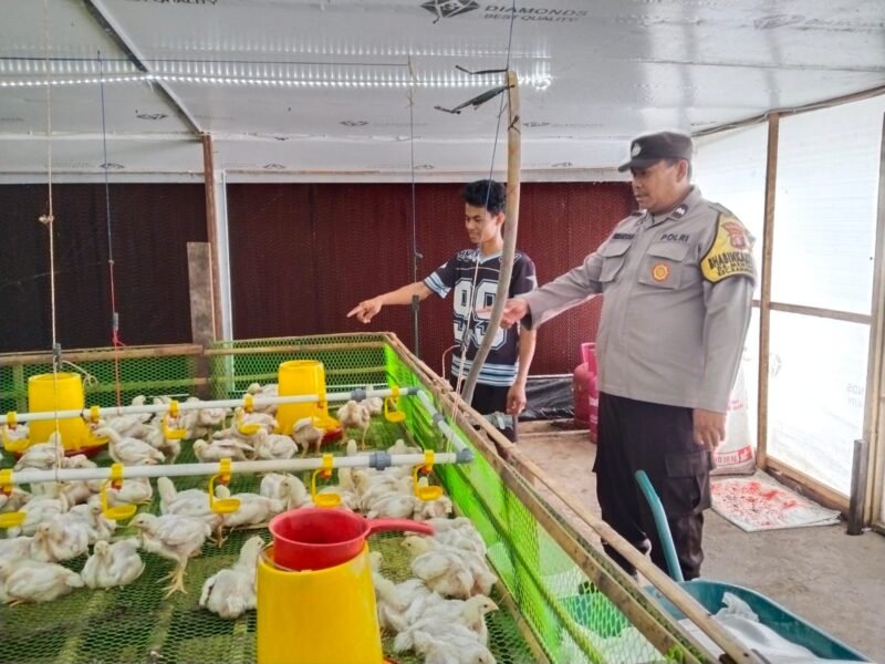 Dukung Ketahanan Pangan, Bhabinkamtibmas Sambangi Peternakan Warga