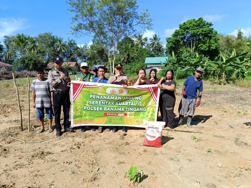 Polsek Banama Tingang Dukung Swasembada Pangan Melalui Penanaman Jagung