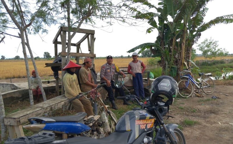 Bhabinkamtibmas Food Estate Pantau Langsung Proses Pengolahan Sawah di Gadabung