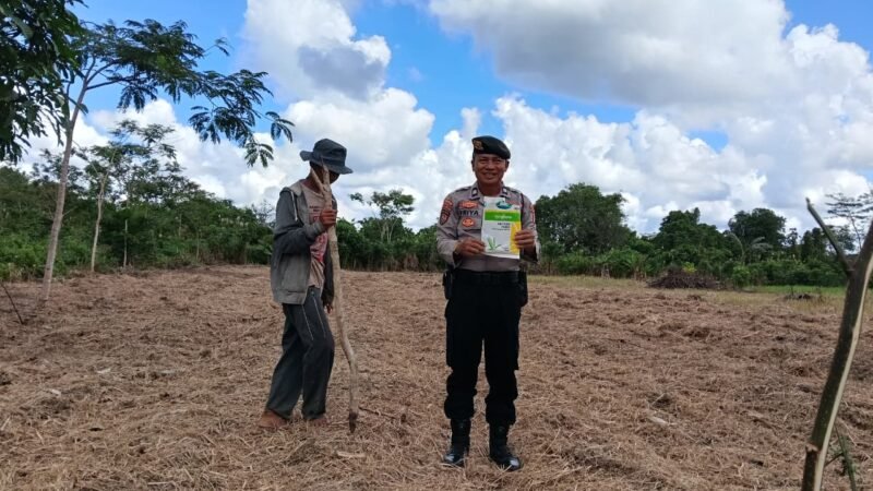 Dukung Swasembada Pangan, Polsek Kahayan Hilir Tanam Jagung di Bereng