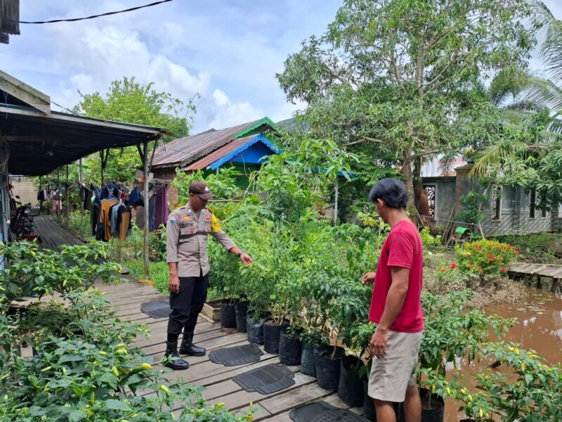 Dukung Ketahanan Pangan, Polsek Kahayan Kuala Ajak Warga Manfaatkan Pekarangan