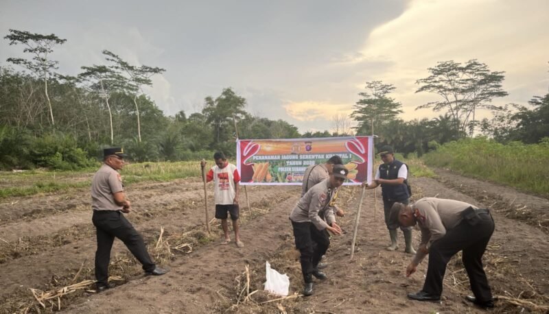 Dukung Swasembada Pangan, Polsek Sebangau Kuala Tanam Jagung Serentak