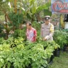 Perkuat Ketahanan Pangan, Polsek Jabiren Raya Tinjau Pekarangan Warga di Tanjung Taruna