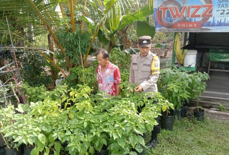 Perkuat Ketahanan Pangan, Polsek Jabiren Raya Tinjau Pekarangan Warga di Tanjung Taruna