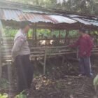 Dukung Ketahanan Pangan, Polsek Pandih Batu Sosialisasi Pemanfaatan Pekarangan