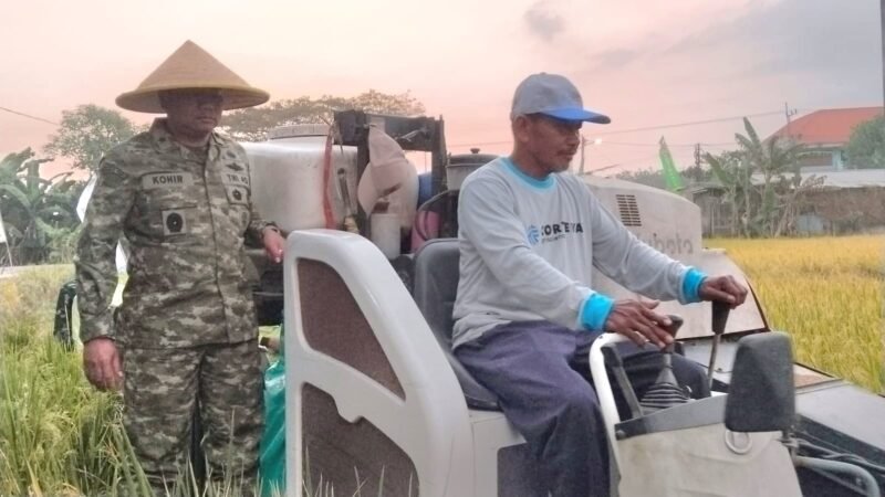 Foto: Danrem 084/Bhaskara Jaya Pimpin Panen Raya Serentak di Gresik, Perkuat Sinergi TNI dan Petani Wujudkan Swasembada Pangan Nasional