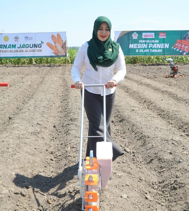 Foto: Momentum panen raya di berbagai daerah menjadi sinyal positif bagi upaya memperkuat ketahanan pangan nasional. Hal itu sudah dibuktikan dengan peresmian panen raya di 43 titik yang dipusatkan di Lanud Abdulrachman Saleh, Malang pada, Jumat (17/7/2026).