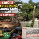 Foto: Lapor Cak Eri! Warga Warugunung Resah, Dugaan Arena Sabung Ayam dan Dadu Kembali Beroperasi