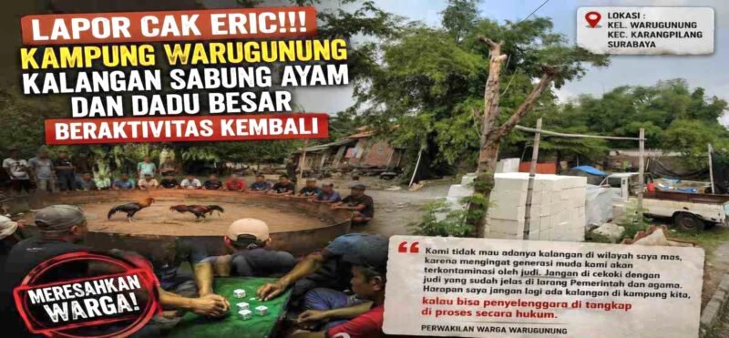 Foto: Lapor Cak Eri! Warga Warugunung Resah, Dugaan Arena Sabung Ayam dan Dadu Kembali Beroperasi
