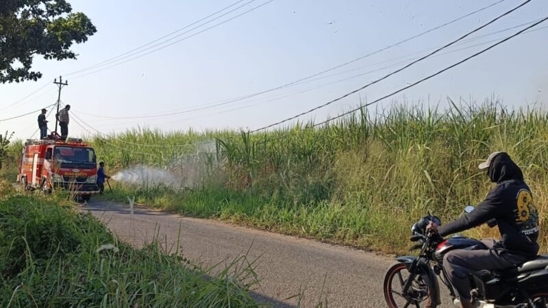 Foto: Personel Polsek Pagerbarang Polres Tegal bergerak cepat menindaklanjuti laporan masyarakat terkait kebakaran lahan tanaman tebu di wilayah Desa Mulyoharjo, Kecamatan Pagerbarang, Kabupaten Tegal, Sabtu (25/07/2026) sekitar pukul 14.30 WIB.