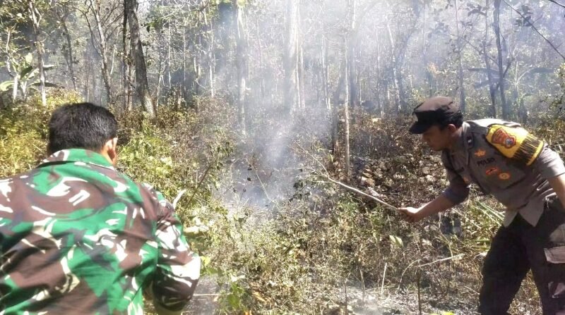 FOTO: Polsek Sine Polres Ngawi bergerak cepat menangani kebakaran lahan yang terjadi di kawasan Bukit Gogor, Dusun Plosokerep, Desa Kuniran, Kecamatan Sine, Kabupaten Ngawi, Sabtu (25/7/2026) sekitar pukul 10.40 WIB.