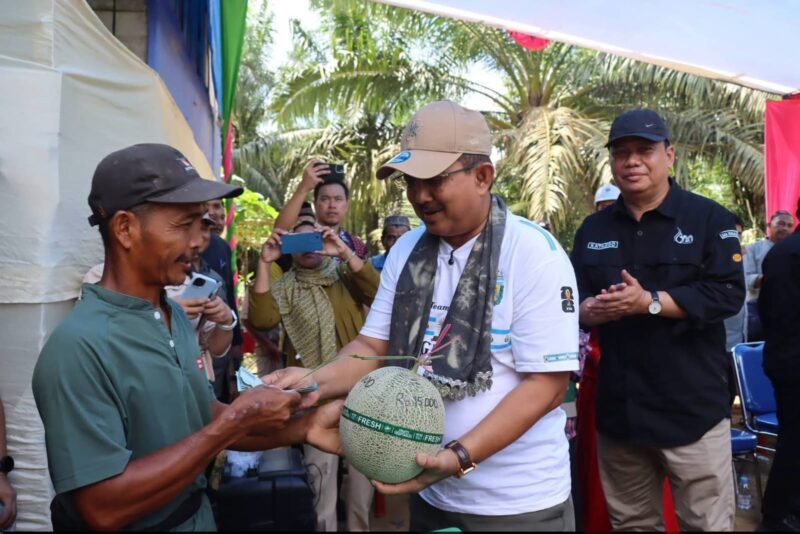 FOTO: Bupati Tanjung Jabung Barat, Drs. H. Anwar Sadat, M.Ag., bersama Wakil Bupati Dr. H. Katamso SA, S.E., M.E., hadir langsung menyaksikan panen tersebut pada Jumat (17/7/2026).