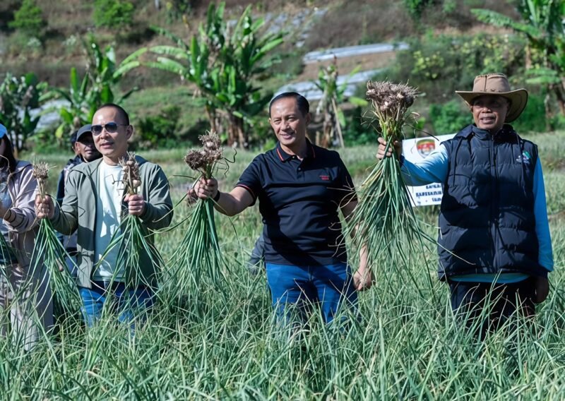 Foto: Satgas Pangan Polri terus memperkuat upaya mendukung program swasembada pangan nasional melalui pengembangan budidaya bawang putih di Kecamatan Sembalun, Kabupaten Lombok Timur, Nusa Tenggara Barat (NTB). Pada Minggu (26/7/2026),