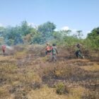 Berjibaku dengan Api, Babinsa Kodim 1009/Tanah Laut Tembus Pekatnya Asap Padamkan Api
