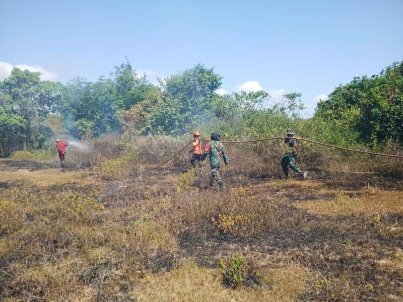 Berjibaku dengan Api, Babinsa Kodim 1009/Tanah Laut Tembus Pekatnya Asap Padamkan Api