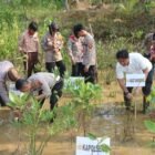 Keterangan Foto: Kapolres Trenggalek AKBP Rizky Tri Putra Erryka Adi Wijaya bersama jajaran menanam mangrove dan melepasliarkan tukik di Kawasan Konservasi Pantai Taman Kili-Kili, Desa Wonocoyo, Kecamatan Panggul.