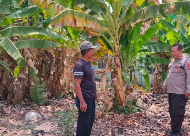 Polri Ingatkan Warga Lebaksiu Cegah Kebakaran Lahan Sejak Dini