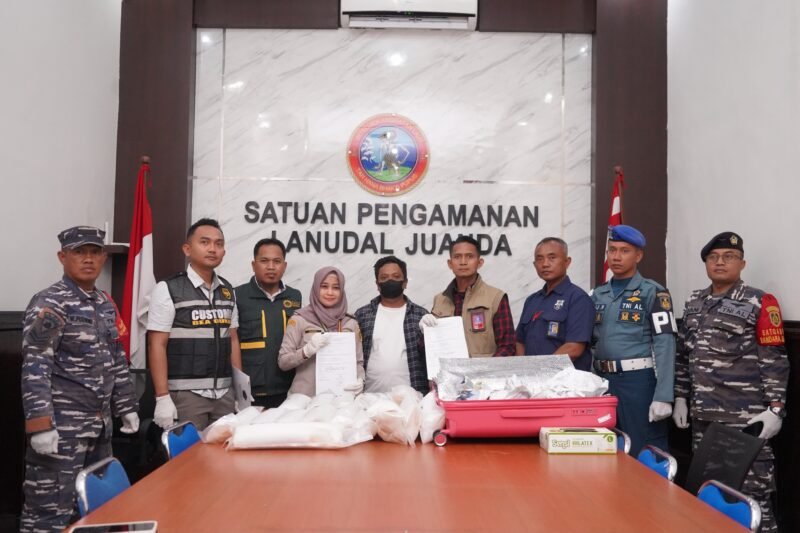 Dari Dalam Koper, 48.800 Benih Lobster Akhirnya Kembali ke Laut
