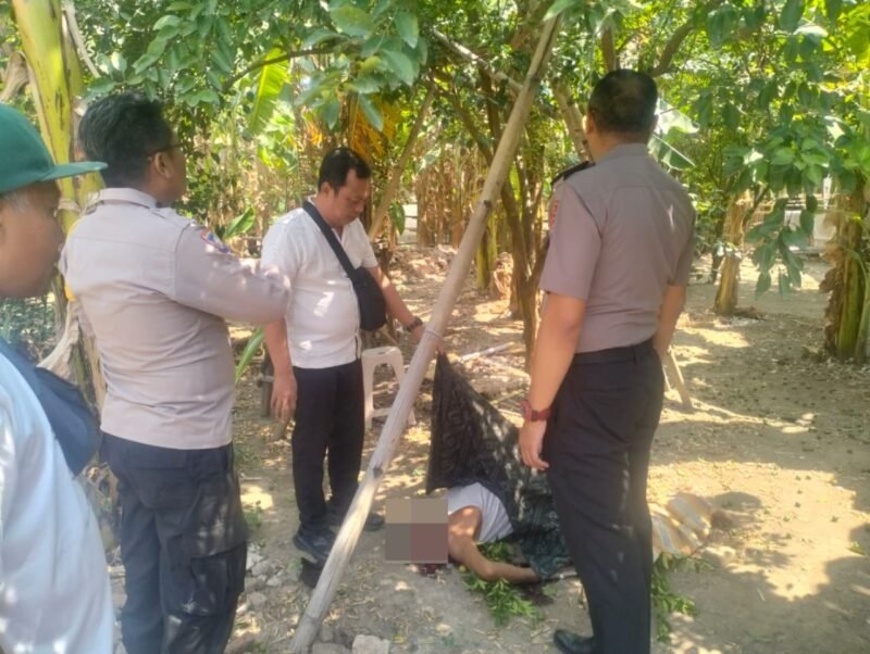 foto: Personel Polsek Dukuhturi melakukan pengecekan TKP setelah seorang warga meninggal dunia akibat terjatuh dari pohon jeruk di Desa Kepandean.