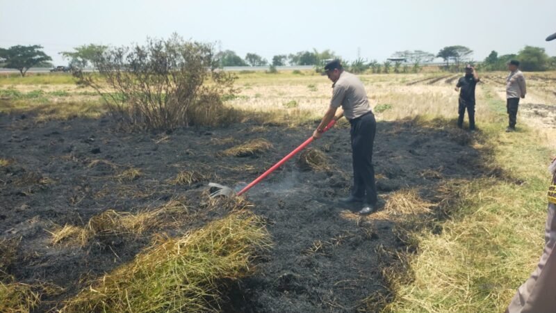 foto: Petugas gabungan melakukan pemadaman kebakaran lahan di pinggir Tol Pejagan-Pemalang KM 271+200 B wilayah perbatasan Tegal-Brebes.