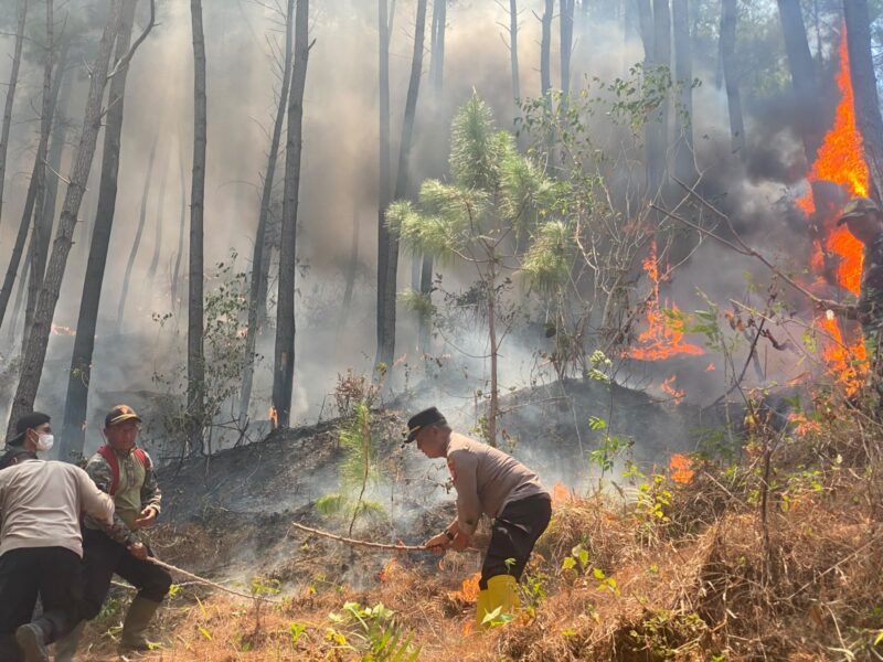 Polres Ponorogo Tim Gabungan Tembus Medan Curam Lereng Gunung Limas Padamkan Api Karhutla