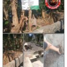 LSM Harimau Soroti Proyek Irigasi di Desa Pendarungan, Diduga Tak Sesuai Spesifikasi