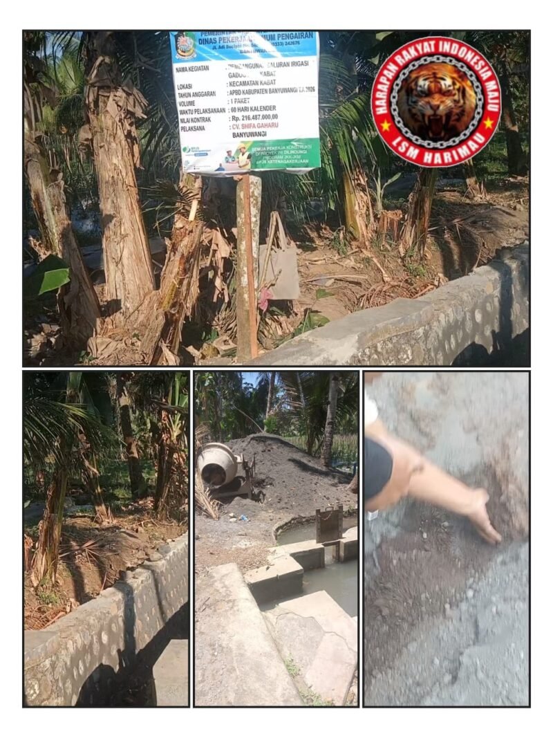 LSM Harimau Soroti Proyek Irigasi di Desa Pendarungan, Diduga Tak Sesuai Spesifikasi
