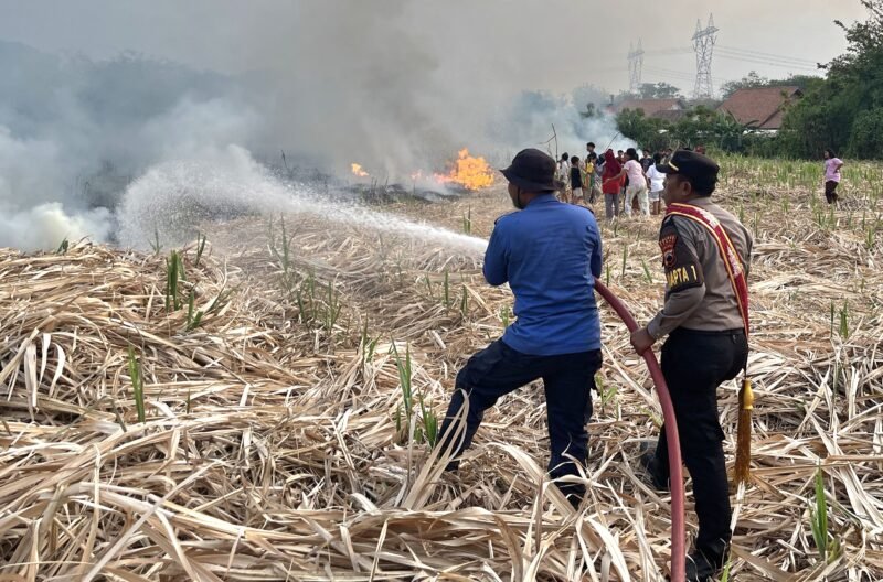 Personel Pamapta Polres Tegal bersama Polsek Adiwerna, Damkar, dan masyarakat melakukan penanganan kebakaran lahan bekas tanaman tebu di Desa Harjosari Kidul, Kecamatan Adiwerna.