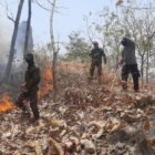 Personel Polsek Sampung bersama tim gabungan dan relawan melakukan pemadaman serta pendinginan di kawasan hutan Dukuh Sampung Kidul, Ponorogo.
