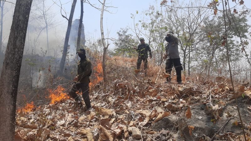 Personel Polsek Sampung bersama tim gabungan dan relawan melakukan pemadaman serta pendinginan di kawasan hutan Dukuh Sampung Kidul, Ponorogo.