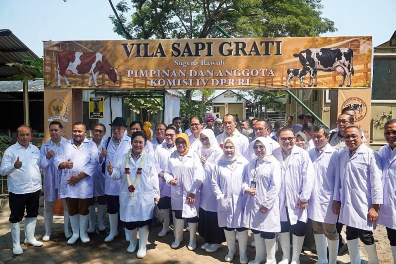 Komisi IV DPR RI bersama Badan Karantina Indonesia (Barantin) meninjau KUTT Suka Makmur di Grati, Kabupaten Pasuruan, untuk membahas penguatan kesehatan sapi perah, biosekuriti, koperasi, dan rantai pasok susu nasional.