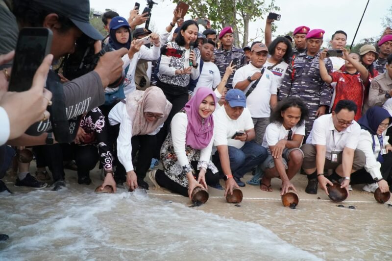Ning Lia Lepas Tukik di Tanjung Penyu, “Ayo, Lautan Menunggumu”