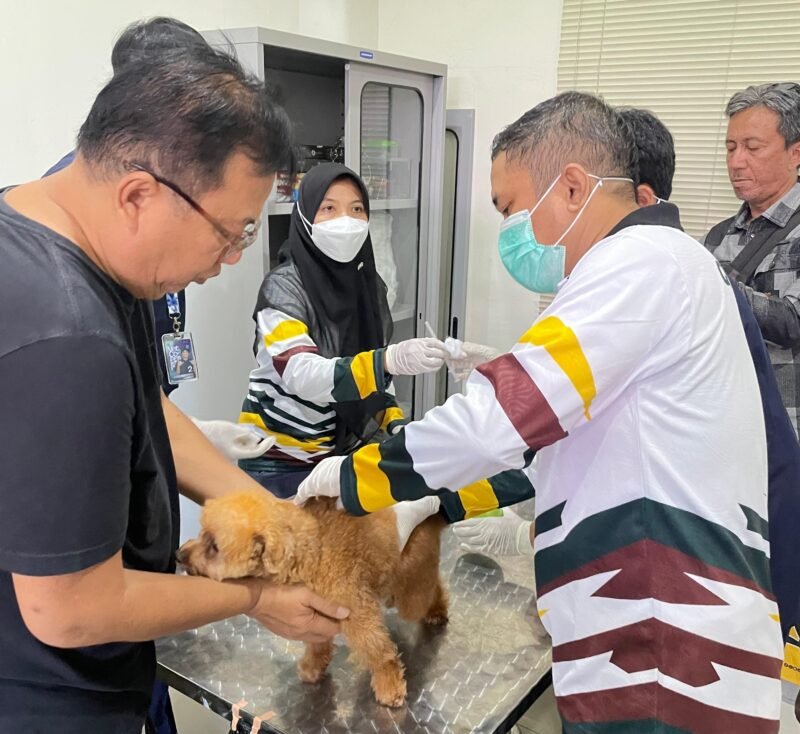 Sekretaris Utama Barantin Shahandra Hanitiyo bersama jajaran Balai Karantina Jawa Timur saat membuka rangkaian kegiatan Hari Karantina ke-149 dan HUT ke-3 Barantin di Sidoarjo.