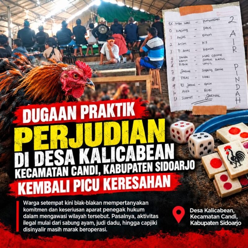 Aktivitas perjudian yang diduga kembali berlangsung di kawasan perbatasan Desa Kalicabean dan Desa Klurak, Kecamatan Candi, Sidoarjo. Warga mendesak aparat melakukan penindakan menyeluruh.