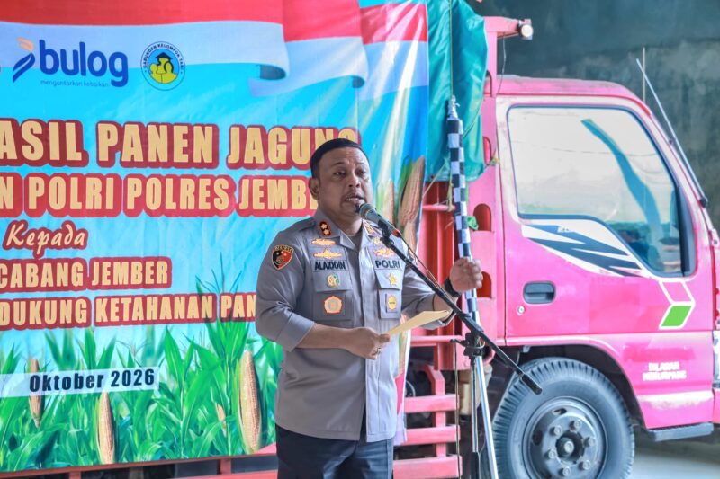 Kapolres Jember AKBP Alaiddin bersama jajaran dan Bulog saat pelepasan pengiriman perdana hasil panen jagung Gapoktan binaan Polres Jember di Kecamatan Puger.