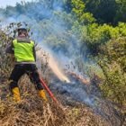 Polri Bersama TNI Padamkan Kebakaran Hutan Pinus Gunung Anjing