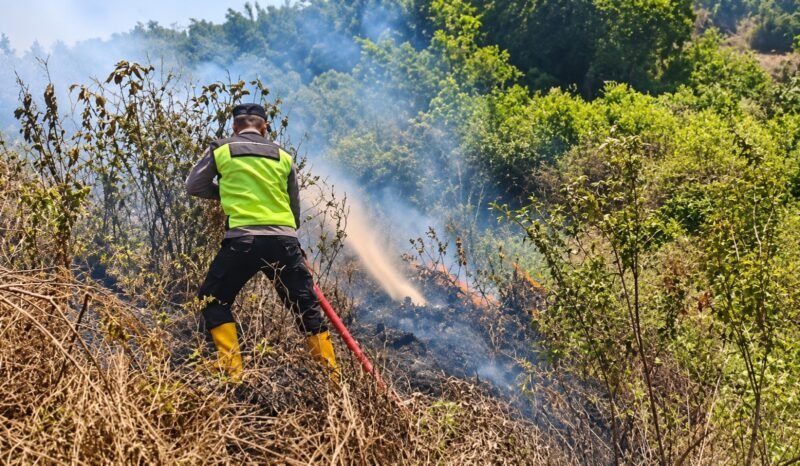 Polri Bersama TNI Padamkan Kebakaran Hutan Pinus Gunung Anjing
