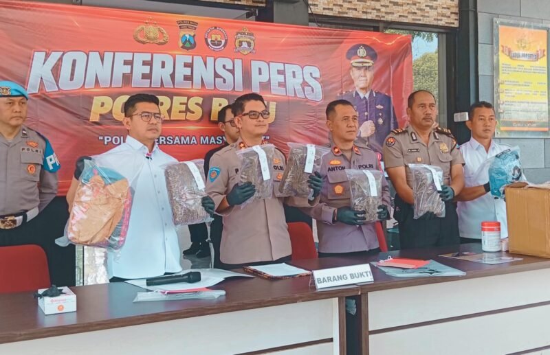 Foto ist: Kapolres Batu, AKBP Panji Gedhe Prabawa dan Wakapolres Anton Widodo beserta Kasatnarkoba rilist penangkapan Narkotik jenis ganja.