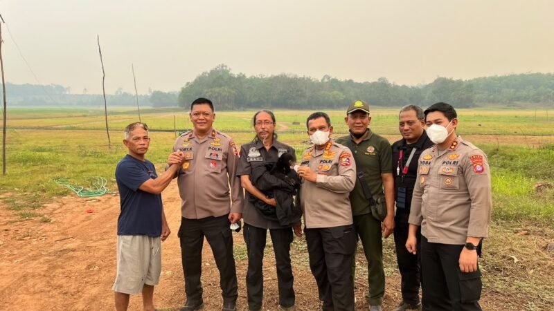 Tim gabungan Polri dan BKSDA mengevakuasi anak beruang madu yang terdampak karhutla di Kabupaten Seruyan, Kalimantan Tengah.