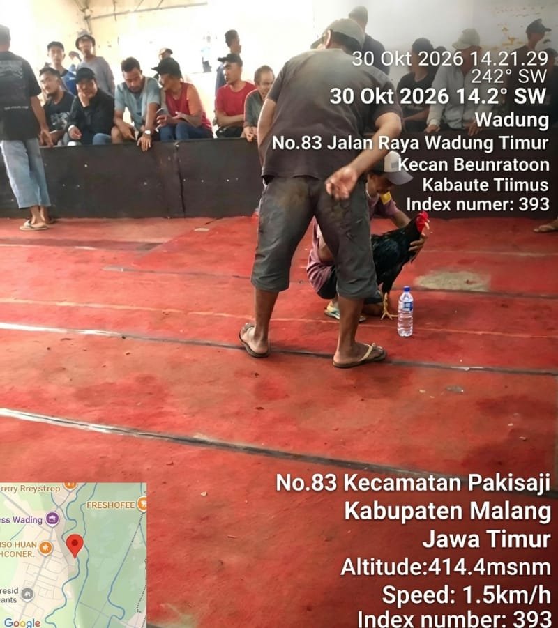 Dokumentasi visual yang disebut memperlihatkan aktivitas sejumlah orang di arena yang diduga digunakan untuk sabung ayam di Desa Wadung, Kecamatan Pakisaji, Kabupaten Malang, Jumat (30/10/2026). Status kegiatan tersebut masih memerlukan verifikasi lebih lanjut dari aparat berwenang.